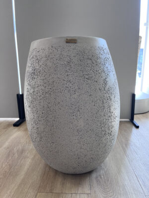 Vaso Asplênio Aerado